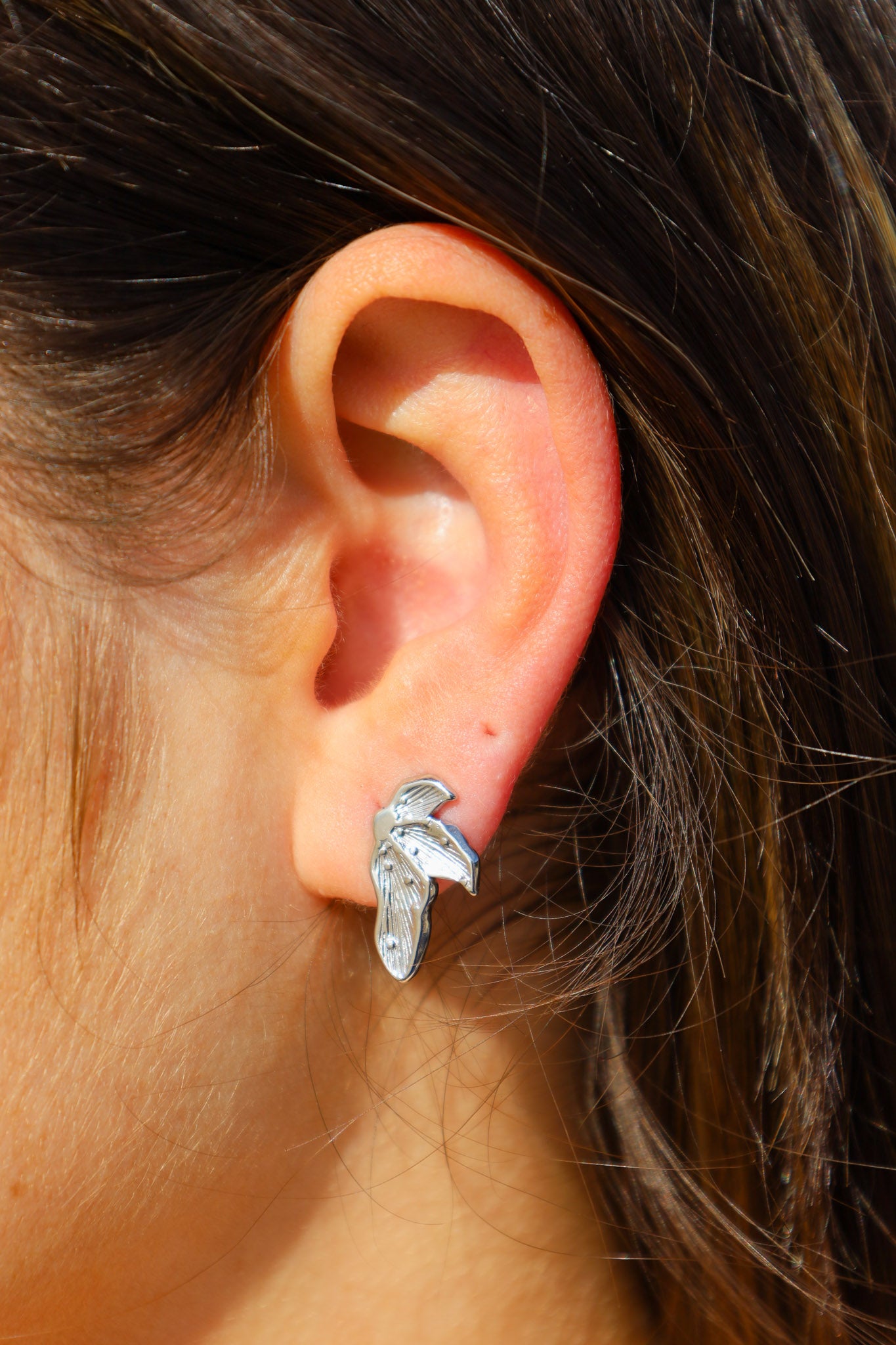 BOUCLES FAUNA